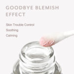 Mizon Good Bye Blemish Pink Spot 19ml - Image 4