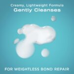 OGX Bond Protein Repair & Protect Shampoo 385ml - Image 3