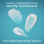 OGX Bond Protein Repair & Protect Conditioner 385ml