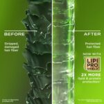 OGX Refreshing Strength+ Clarifying Rosemary & Mint Conditioner 385ml - Image 3