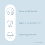 Ordo Sonic Lite Electric Toothbrush Snow