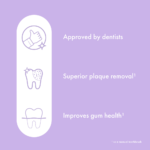 Ordo Sonic Lite Electric Toothbrush Lavender - Image 6