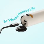 Ordo Sonic Kids Rechargeable Electric Toothbrush Squishmallows Cam - Image 3