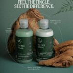 Paul Mitchell Tea Tree Special Shampoo & Conditioner Twin 2 x 300ml - Image 4