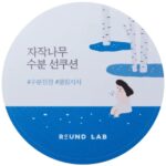 Round Lab Birch Juice Moisturising Sun Cushion SPF50+ 15g - Image 3