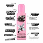 Crazy Colour Platinum Hair Dye 100ml - Image 2