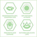 Sebamed Lip Defence Stick SPF30 4.8g - Image 4