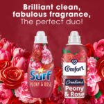 Surf Peony & Rose Concentrated Liquid Laundry Washing Detergent 24 Washes 648ml - Image 4