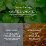 VT Cosmetics Cica Daily Soothing Sheet Mask 30 Sheets - Image 4