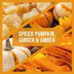 Wax Lyrical Autumn Pumpkin Scented Reed Diffuser 100ml