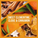 Wax Lyrical Clementine Spice Medium Jar Candle
