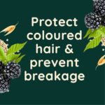 Aveeno Colour Protect+ Blackberry & Quinoa Blend Shampoo 300ml - Image 5