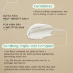 Aveeno Face Calm+ Restore Oat Rich Balm 50ml - Image 4