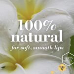 Burt's Bees Lip Balm Freshly Picked 4 Pack - Image 2