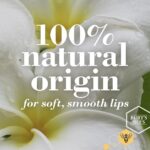 Burt's Bees Lip Balm Tube Beeswax Blister Duo Pack - Image 4