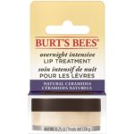 Burt's Bees Overnight Intensive Lip Treatment 7.08g - Image 2