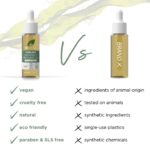 Dr. Organic Seaweed Ageless Overnight Recovery Oil 30ml - Image 3