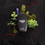Guy Laroche Drakkar Noir Eau De Toilette 100ml - Image 2