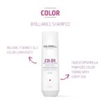 Goldwell DualSenses Colour Brilliance Shampoo 250ml