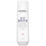 Goldwell DualSenses Just Smooth Taming Shampoo 250ml - Image 2