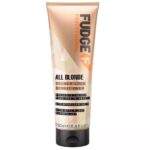 Fudge Professional All Blonde Colour Lock Conditioner 250ml - Image 2