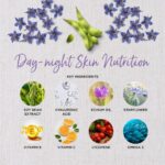 Healthspan Day-Night Skin Nutrition Supplement 1 Month Supply - Image 7