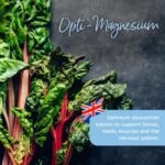 Healthspan Highly Absorbable Opti-Magnesium 90 Tablets - Image 6