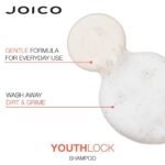 Joico YouthLock Collagen Shampoo 300ml - Image 2
