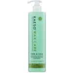 Kaeso Aloe Vera Gel 495ml