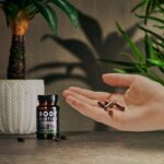 Kiki Health SBO Bacterial Cultures Vegan Body Biotics 400mg 60 Vegicaps - Image 4