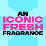 Lynx XXL Epic Fresh 72h Grapefruit & Tropical Pineapple Anti-Perspirant Deodorant Spray 250ml - Image 3