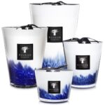 Baobab Collection Max 10 Feathers Touareg Candle - Image 3