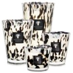 Baobab Collection Max 10 Pearls Black Candle