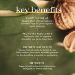 Fushi Organic Triphala 60 Vegan Capsules - Image 3