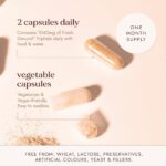 Fushi Organic Triphala 60 Vegan Capsules - Image 6