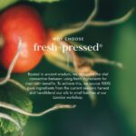 Fushi Organic Fresh-Pressed Rosehip Oil 30ml - Image 7