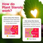 Healthspan Plant Sterols 800mg 90 Tablets - Image 5