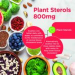 Healthspan Plant Sterols 800mg 90 Tablets - Image 6