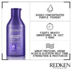 Redken Colour Extend Blondage Complete Blonde Care Set - Image 4