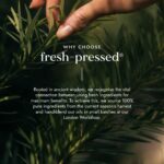 Fushi Root Revival Hair Oil 30ml - Image 8