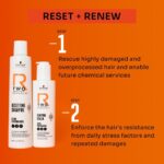 Schwarzkopf Professional R TWO Bonacure Clean Performance Renewal Sealer 145ml - Image 2