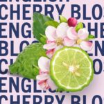 Shay & Blue English Cherry Blossom Eau De Parfum 100ml - Image 2