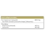Solgar Full Spectrum Curcumin 90 Licaps