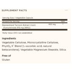 Solgar Standardized Turmeric Root Extract 60 Vegetable Capsules