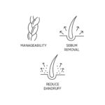 System Professional Purify Shampoo 250ml - Image 2