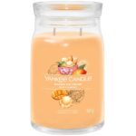 Yankee Candle Mango Ice Cream Large Signature Jar Candle - Image 2