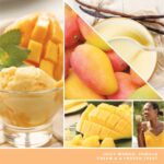 Yankee Candle Mango Ice Cream Medium Signature Jar Candle