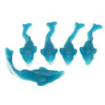 Kingsway Giant Dolphins Bag 3kg