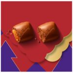 Cadbury Dairy Milk Biscoff Chocolate Advent Calendar 236g - Image 3